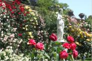Graf Lennart Bernadotte, der Urenkel von Groherzog Friedrich I. und Herr der Mainau, gestaltete den verwilderten Park zu einem Blumen- und Pflanzenparadies um und machte die Insel der ffentlichkeit zugnglich.