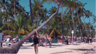 Gibt nicht so an, diese Palme ist schon frher schief gestanden! 