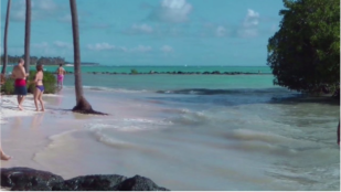 Karibik pur!  Am sdlichen Strand der Insel ist das Wasser sehr klar und die Landschaft einmalig. Umsonst zhlt nicht die Karibik zu den schnsten Teilen unserer Erde. 