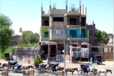 Direkt am Ufer des Nils haben die Hndler ihre Stnde aufgebaut. Auch die "Taxis"  in Edfu warten dort auf Kundschaft. Selbstverstndlich sind auch wir mit einer solchen Kutsche zum Horus-Tempel gefahren. 