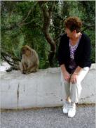 Gibraltar ist der einzige Ort in Europa, an dem Affen (Tierart: Berberaffe oder Magot, Macaca silvanus) freilebend vorkommen. Deswegen nennt man Gibraltar auch den Affenfelsen. 