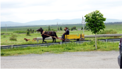 Auf der Strae von Burgas nach Sliven haben wir dieses Gefhrt entdeckt. 