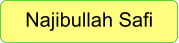 Najibullah Safi