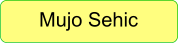 Mujo Sehic