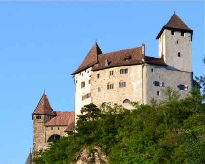 Das Schloss Vaduz, frher auch Hohenliechtenstein genannt, liegt auf einer Felsterrasse ber Vaduz, dem Hauptort des Frstentums Liechtenstein. Heute ist es Wahrzeichen des Ortes und Sitz des Frstenhauses Liechtenstein.