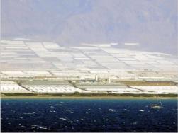 Das Gebiet um Almeria ist bekannt fr den exzessiven Obstbau. Gebiete von 50 x 20 km sind komplett mit Gewchshusern zugepflastert. 