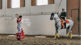Das Gestt Yeguada Bejar ist bekannt fr seine Vorstellungen, bei denen der Hengst Tejedor VII mit einer Flamencotnzerin tanzt.