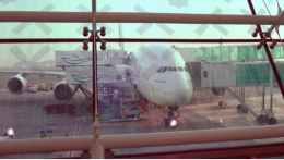 Die Emirates stellen alle Groraumflugzeuge auf den Airbus A 380 um. Dementsprechend riesig sind die Gates und die Aufenthaltsrume. 